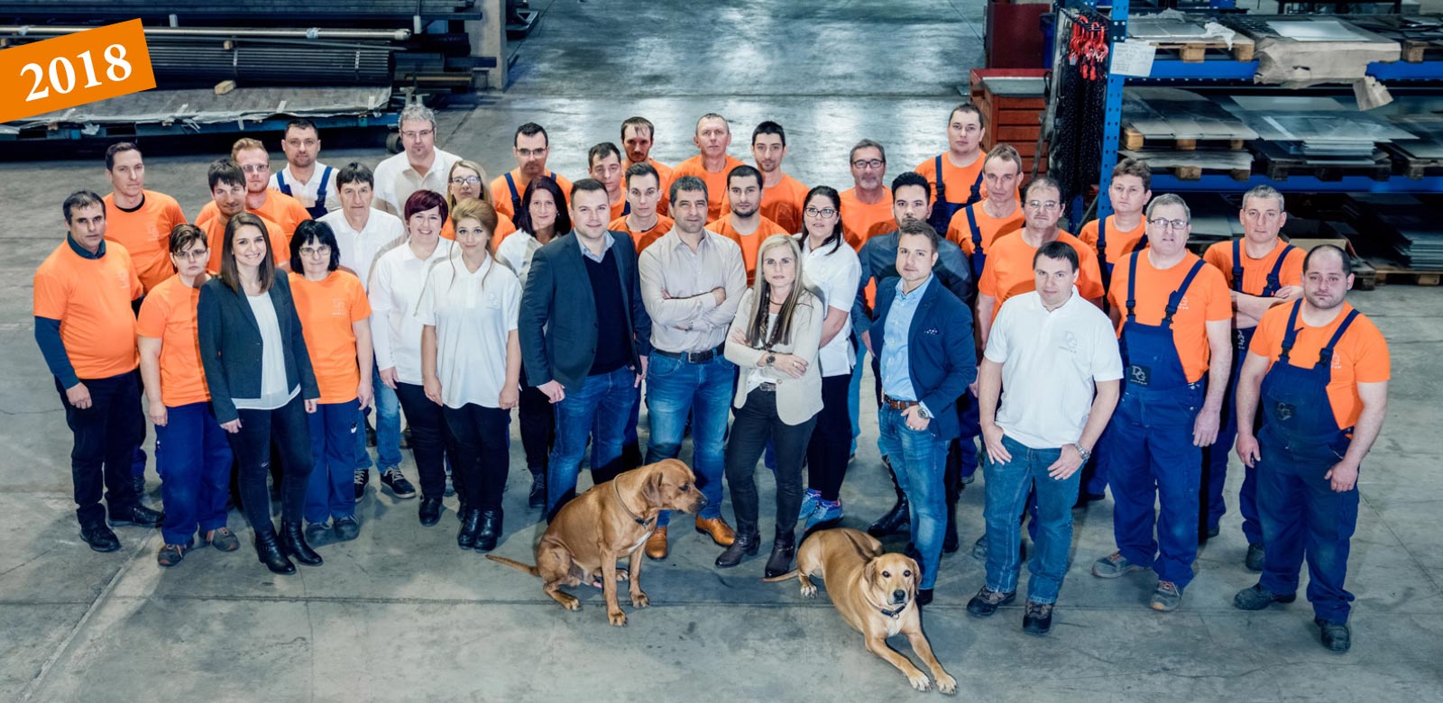 Dornauer Grillitsch GmbH Team